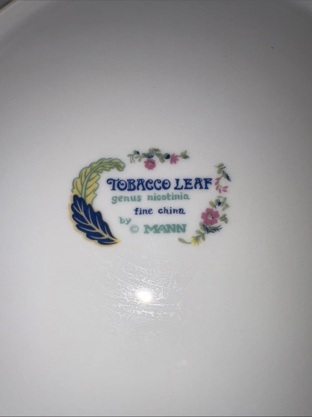 Vint Tobacco Leaf Decorative Floral Serving Platter FINE CHINA 25 each
